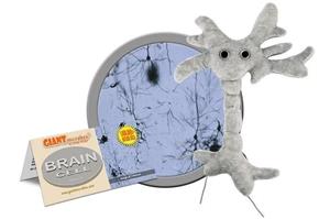 Brain Cell Plush Toy