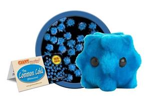 Common Cold Plush Toy