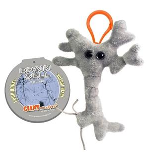 Brain Cell Plush Key Chain
