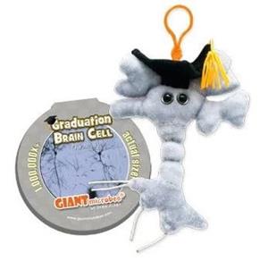 Brain Cell Graduation Plush Key Chain