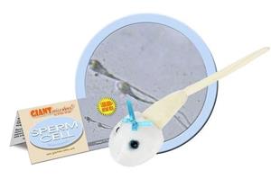 Sperm Cell Plush Toy