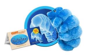 Waterbear Plush Toy